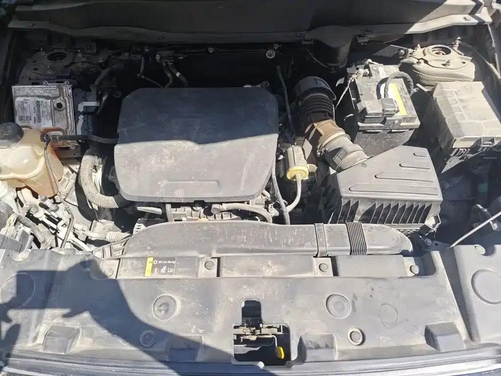 Haval Big Dog 2024 1.5T DCT Border Collie Edition — миниатюра 11
