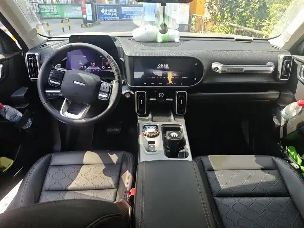 Haval Big Dog 2024 1.5T DCT Border Collie Edition — миниатюра 13