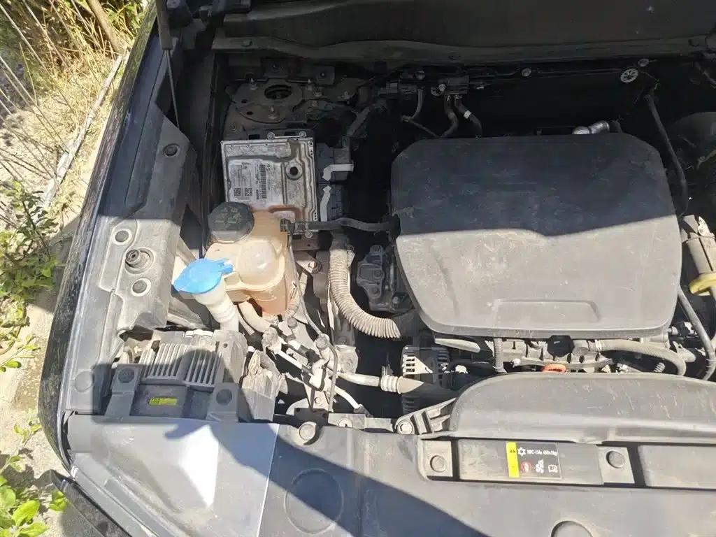 Haval Big Dog 2024 1.5T DCT Border Collie Edition — миниатюра 21