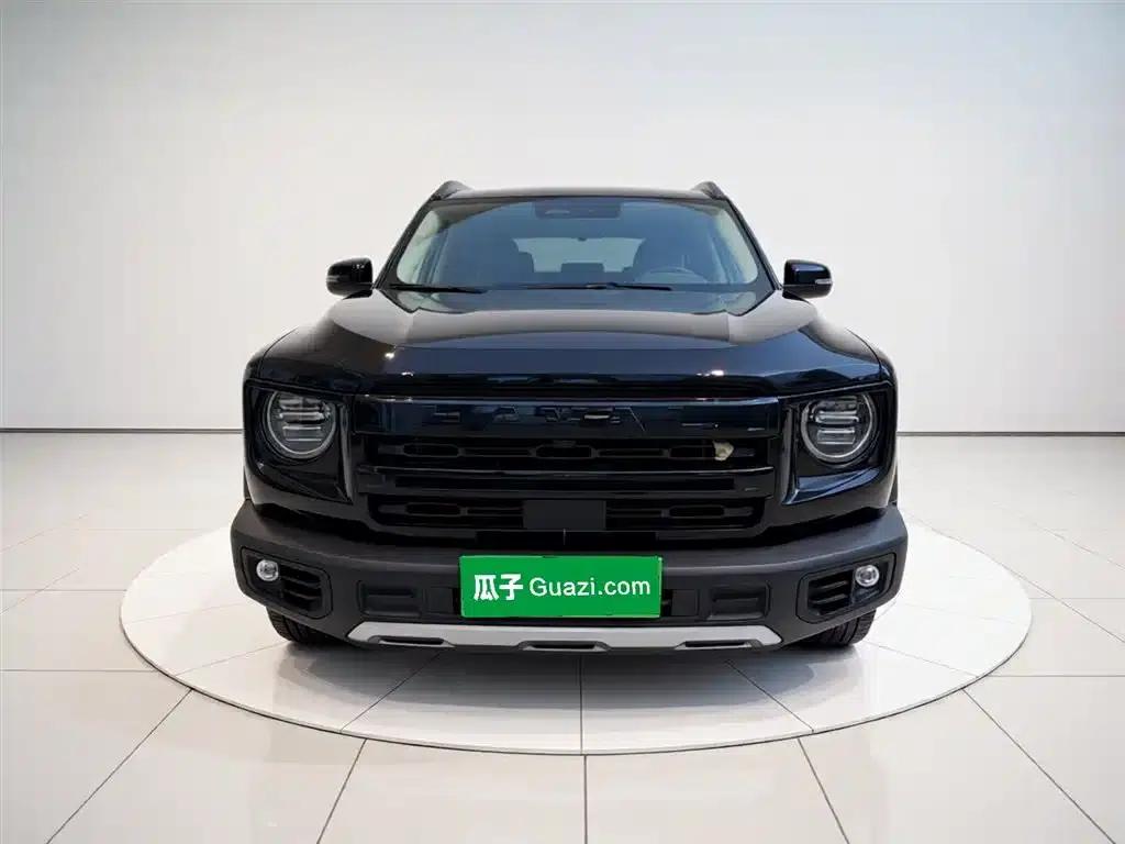 Haval Big Dog 2024 1.5T DCT Border Collie Edition — миниатюра 24