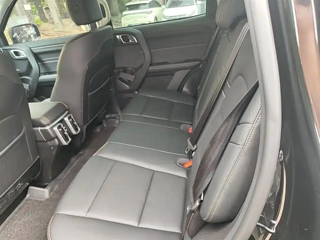 Haval Big Dog 2026 1.5T DCT Border Collie Edition — миниатюра 17
