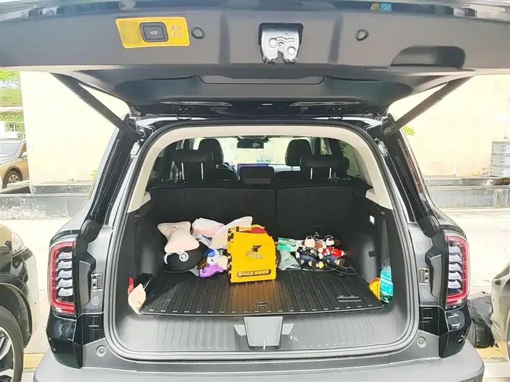 Haval Big Dog 2026 1.5T DCT Border Collie Edition — миниатюра 19