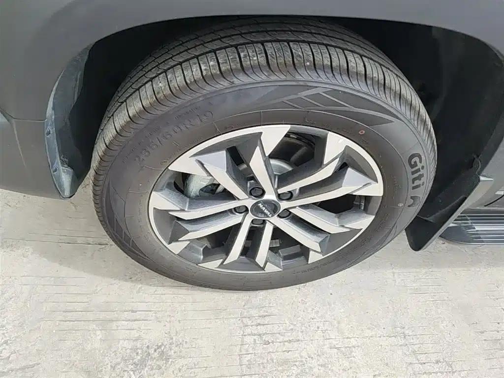 Haval Big Dog 2026 1.5T DCT Border Collie Edition — миниатюра 22