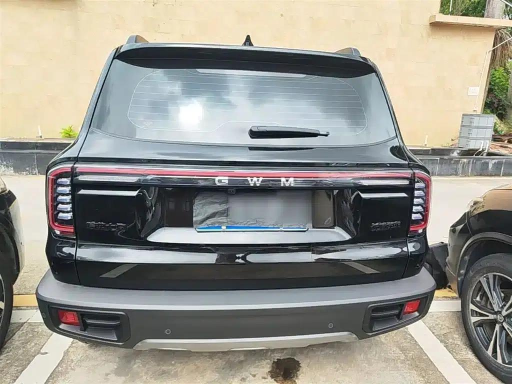 Haval Big Dog 2026 1.5T DCT Border Collie Edition — миниатюра 6