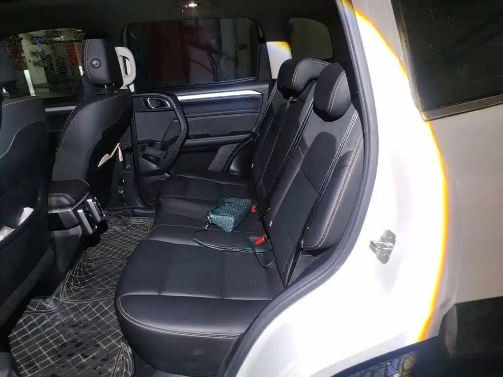 Haval Big Dog 2021 2.0T DCT 4WD Howling Dog Edition — миниатюра 15