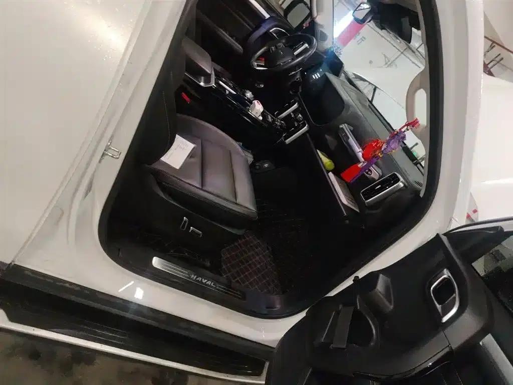 Haval Big Dog 2021 2.0T DCT 4WD Howling Dog Edition — миниатюра 20
