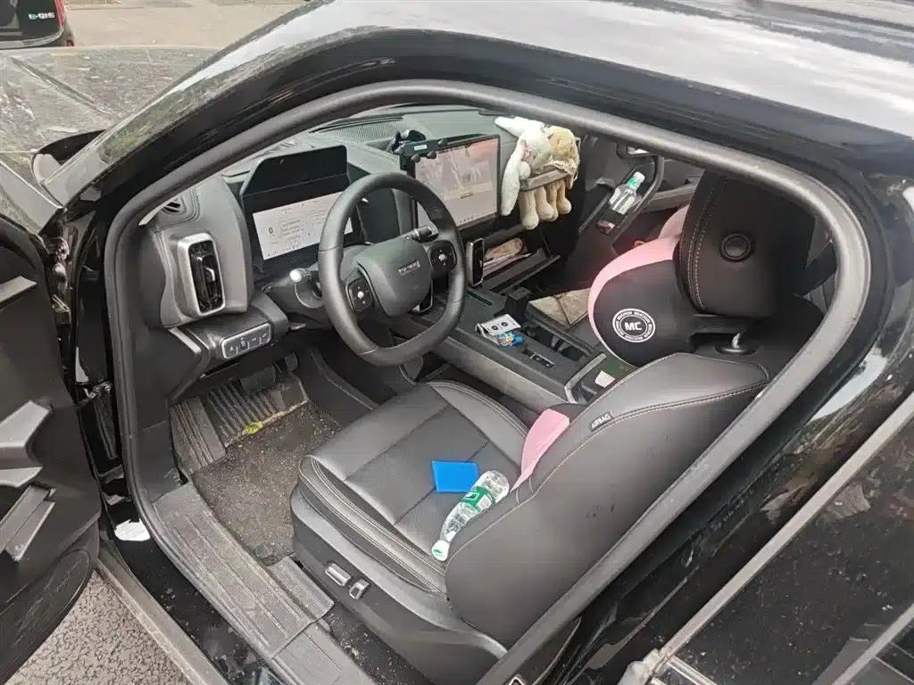 Haval Big Dog 2026 1.5T DCT Border Collie Edition — миниатюра 13