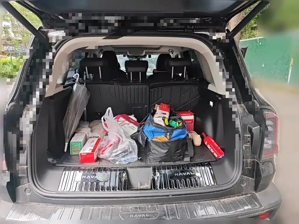 Haval Big Dog 2026 1.5T DCT Border Collie Edition — миниатюра 16