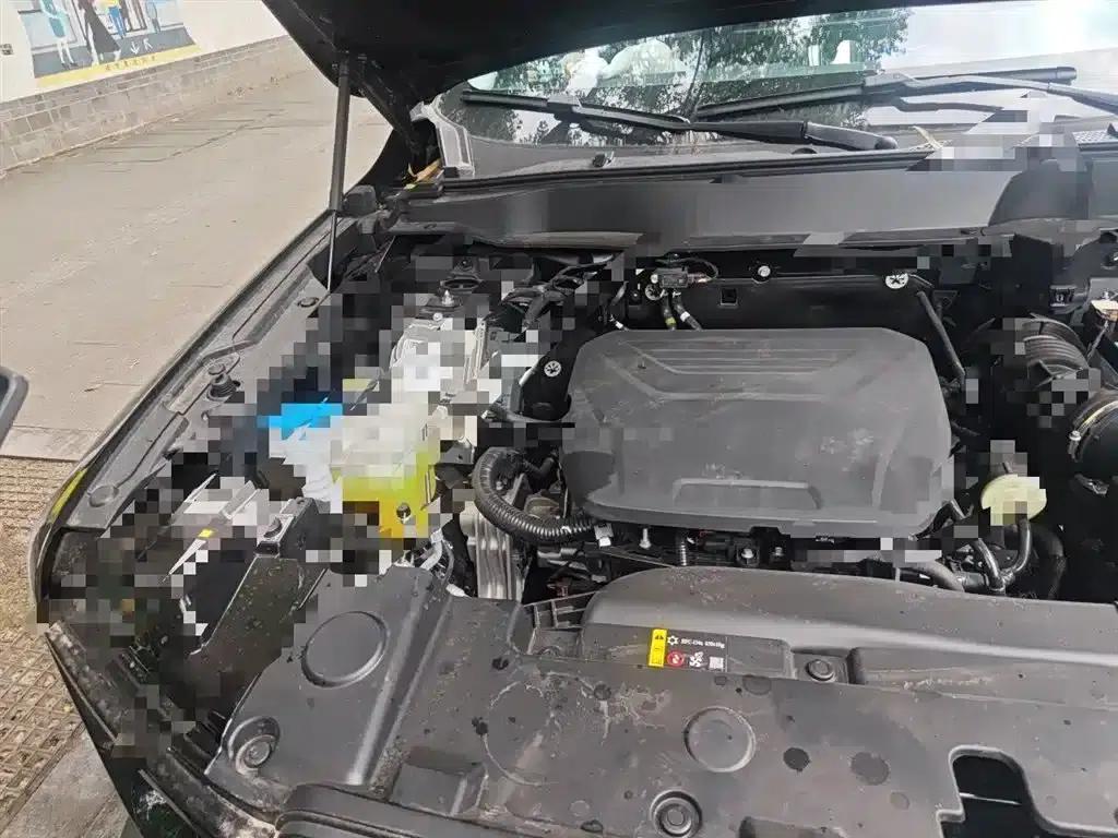 Haval Big Dog 2026 1.5T DCT Border Collie Edition — миниатюра 23