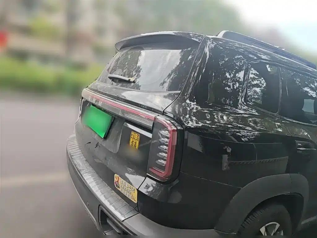 Haval Big Dog 2026 1.5T DCT Border Collie Edition — миниатюра 5