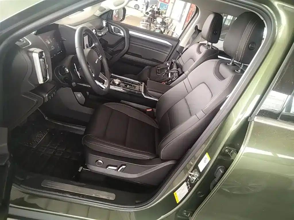 Haval Big Dog 2021 1.5T DCT 2WD Border Collie Edition — миниатюра 15