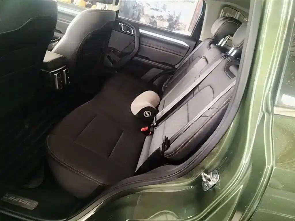 Haval Big Dog 2021 1.5T DCT 2WD Border Collie Edition — миниатюра 17