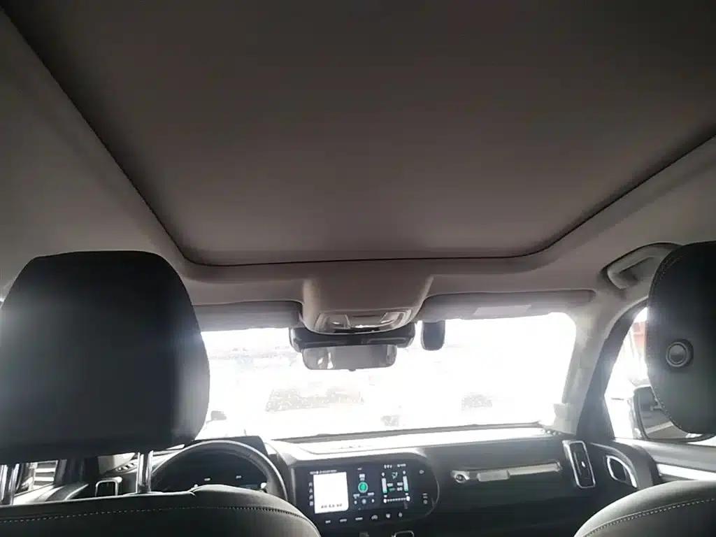 Haval Big Dog 2021 1.5T DCT 2WD Border Collie Edition — миниатюра 18