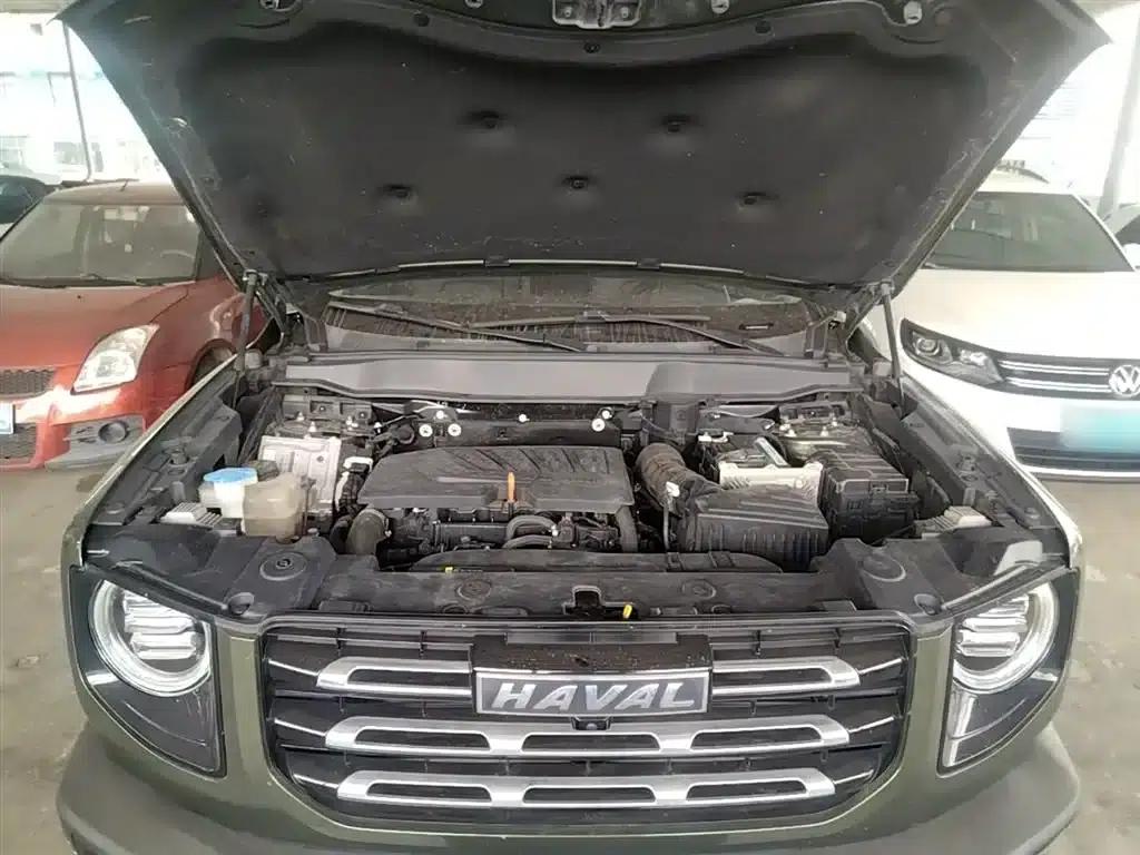 Haval Big Dog 2021 1.5T DCT 2WD Border Collie Edition — миниатюра 20