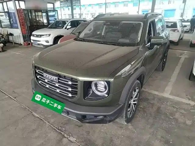Haval Big Dog 2021 1.5T DCT 2WD Border Collie Edition