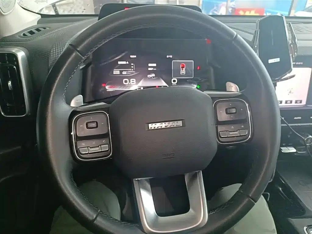 Haval Big Dog 2021 1.5T DCT 2WD Border Collie Edition — миниатюра 11