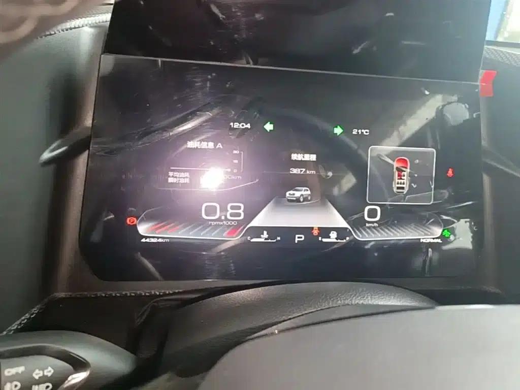Haval Big Dog 2021 1.5T DCT 2WD Border Collie Edition — миниатюра 12