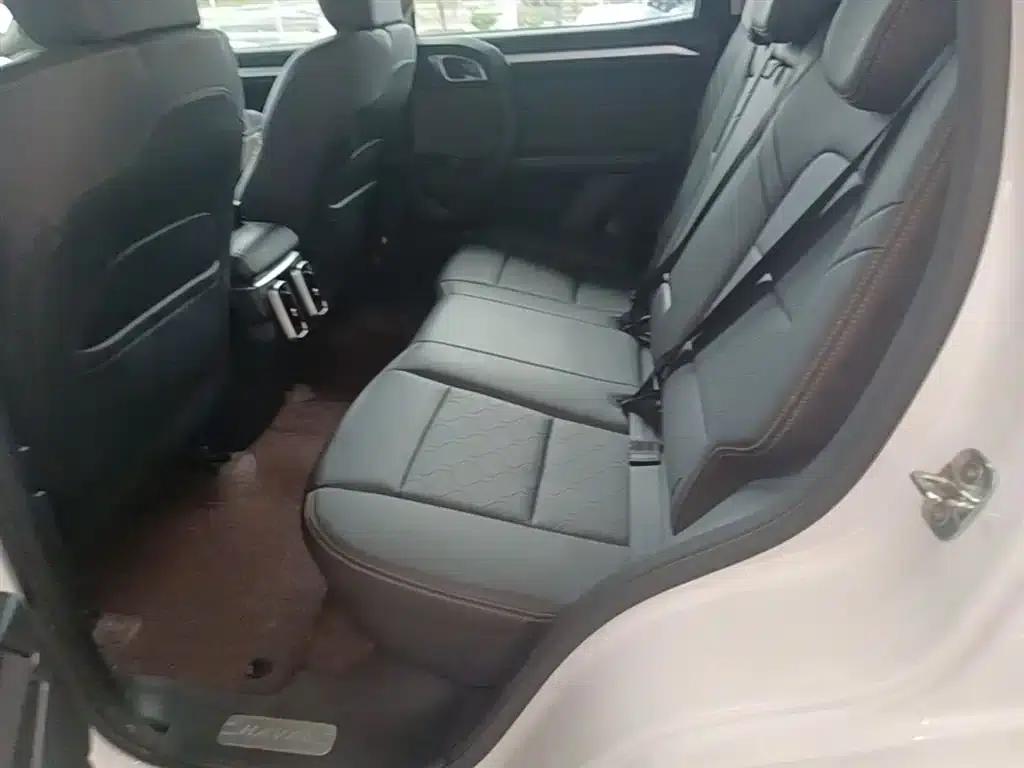 Haval Big Dog 2021 1.5T DCT 2WD Border Collie Edition — миниатюра 17