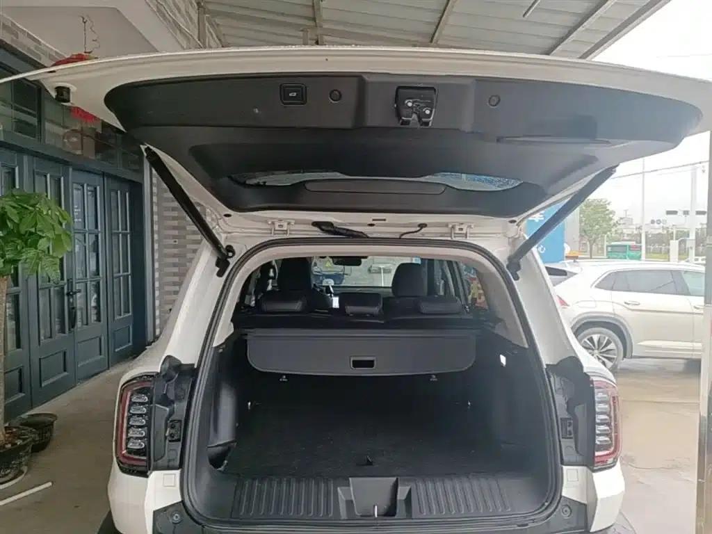 Haval Big Dog 2021 1.5T DCT 2WD Border Collie Edition — миниатюра 19
