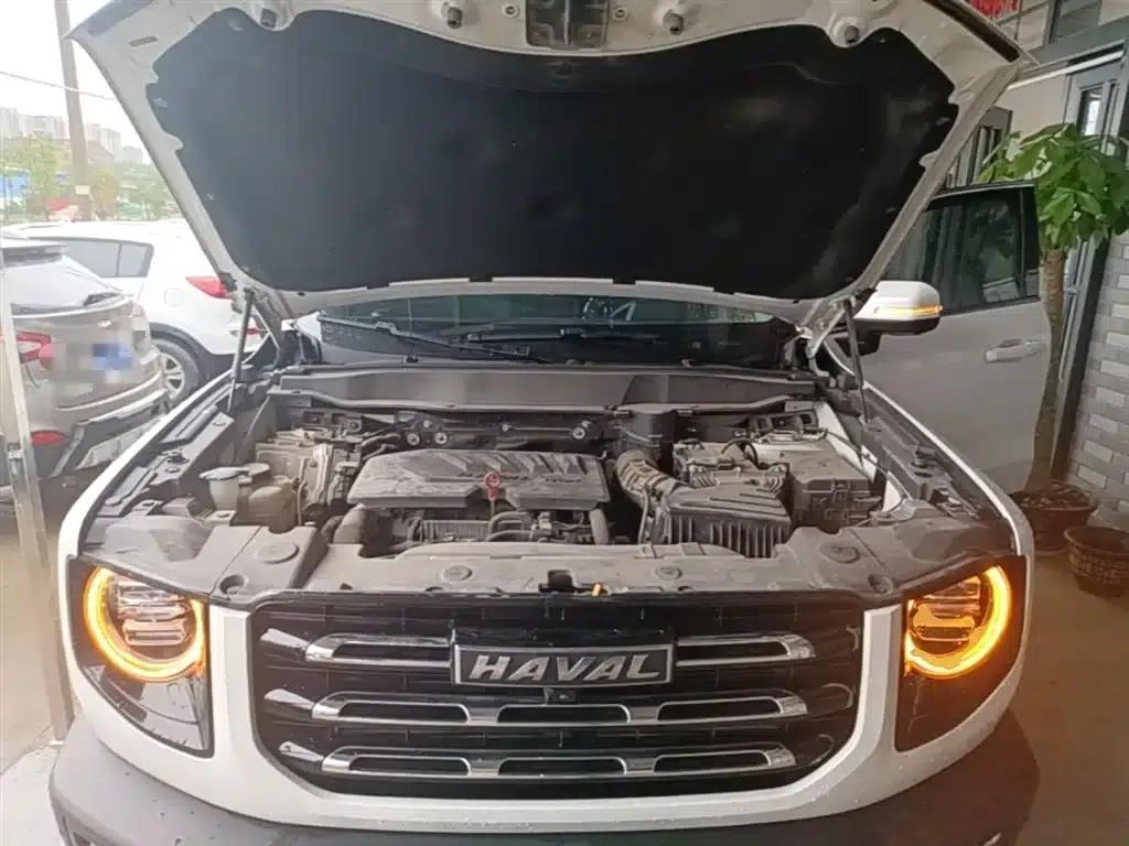 Haval Big Dog 2021 1.5T DCT 2WD Border Collie Edition — миниатюра 20