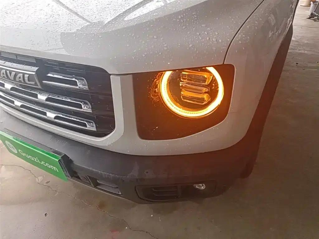 Haval Big Dog 2021 1.5T DCT 2WD Border Collie Edition — миниатюра 24