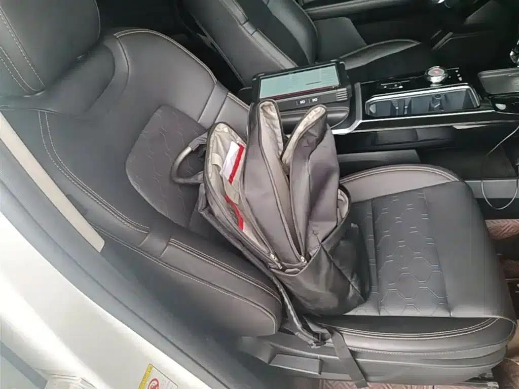Haval Big Dog 2021 1.5T DCT 2WD Border Collie Edition — миниатюра 25