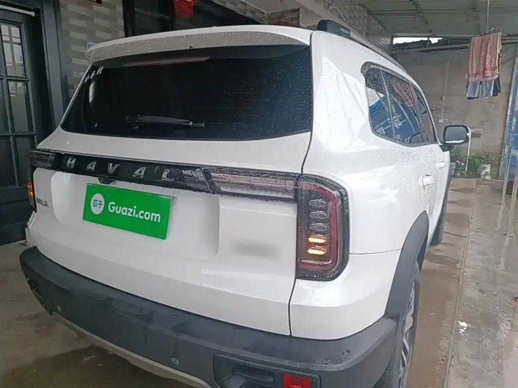 Haval Big Dog 2021 1.5T DCT 2WD Border Collie Edition — миниатюра 7