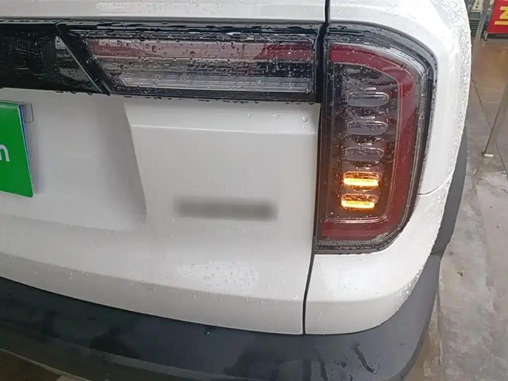 Haval Big Dog 2021 1.5T DCT 2WD Border Collie Edition — миниатюра 8