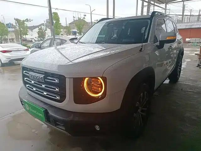 Haval Big Dog 2021 1.5T DCT 2WD Border Collie Edition
