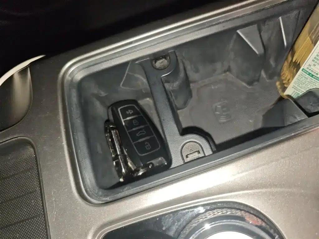 Haval Big Dog 2024 1.5T DCT Border Collie Edition — миниатюра 12
