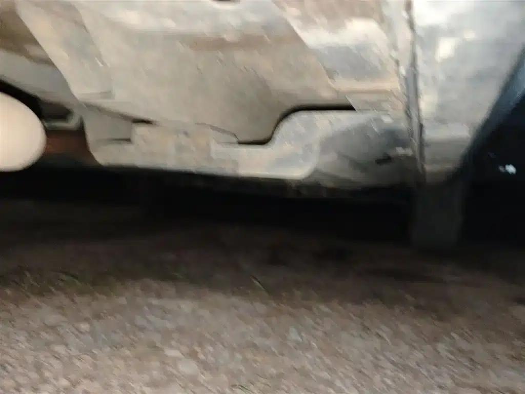 Haval Big Dog 2024 1.5T DCT Border Collie Edition — миниатюра 17