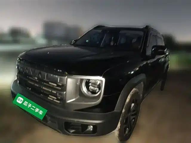 Haval Big Dog 2024 1.5T DCT Border Collie Edition