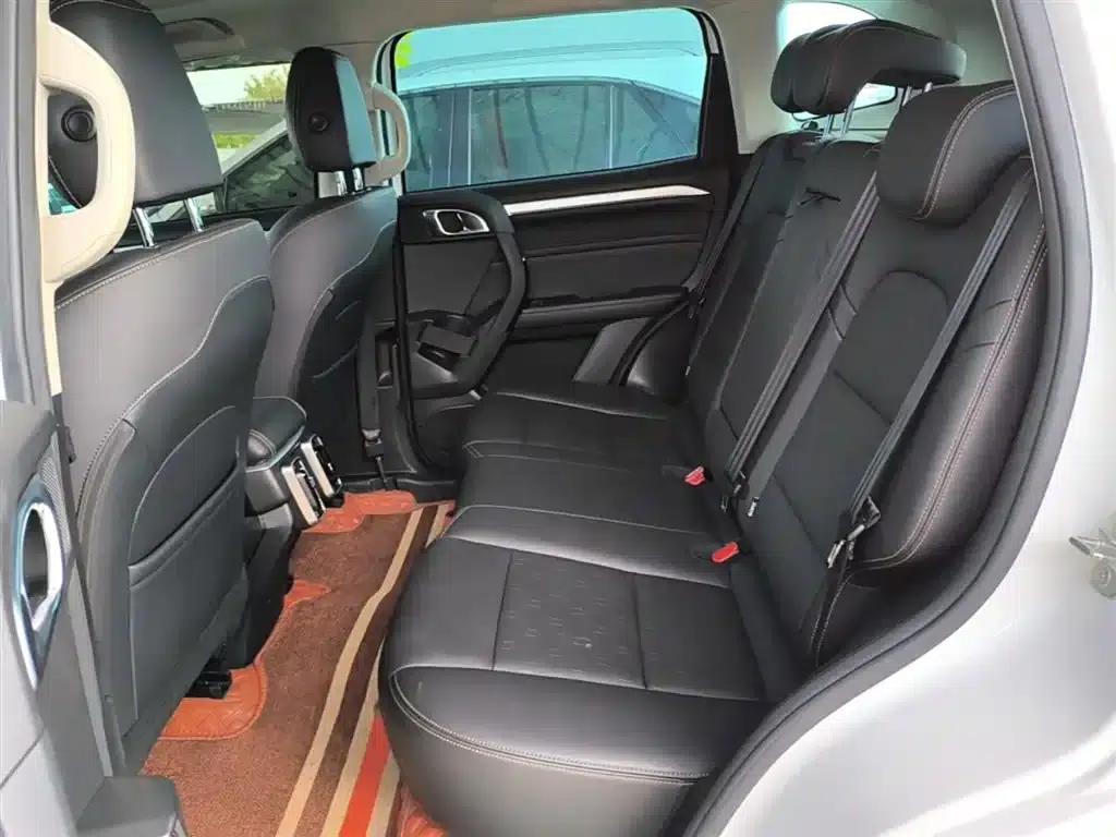 Haval Big Dog 2021 1.5T DCT 2WD Border Collie Edition — миниатюра 17