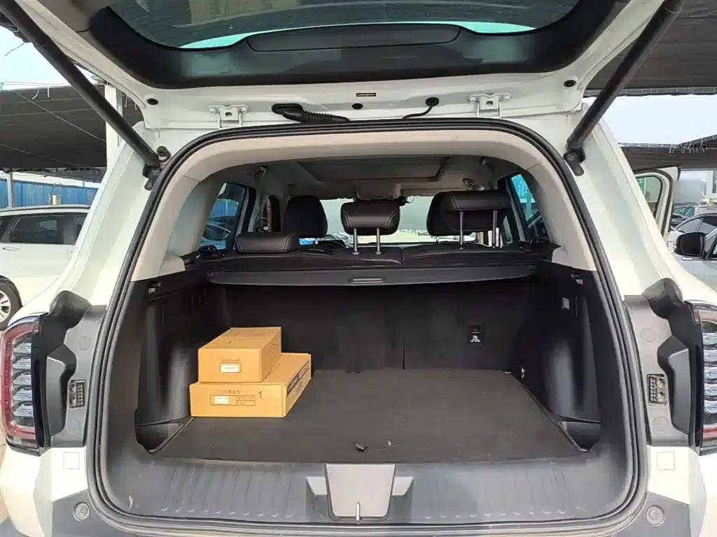 Haval Big Dog 2021 1.5T DCT 2WD Border Collie Edition — миниатюра 19