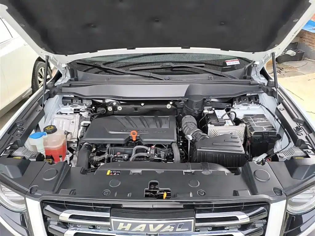 Haval Big Dog 2021 1.5T DCT 2WD Border Collie Edition — миниатюра 20