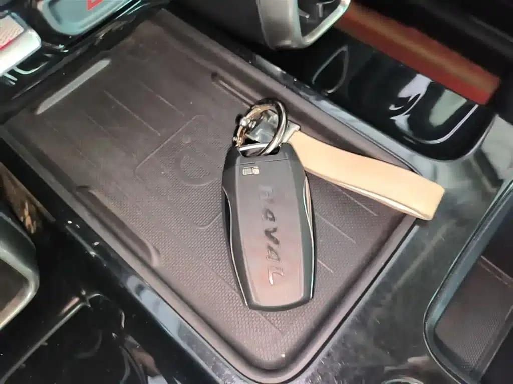 Haval Big Dog 2021 1.5T DCT 2WD Border Collie Edition — миниатюра 9