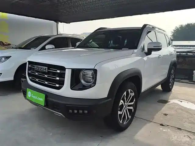 Haval Big Dog 2021 1.5T DCT 2WD Border Collie Edition