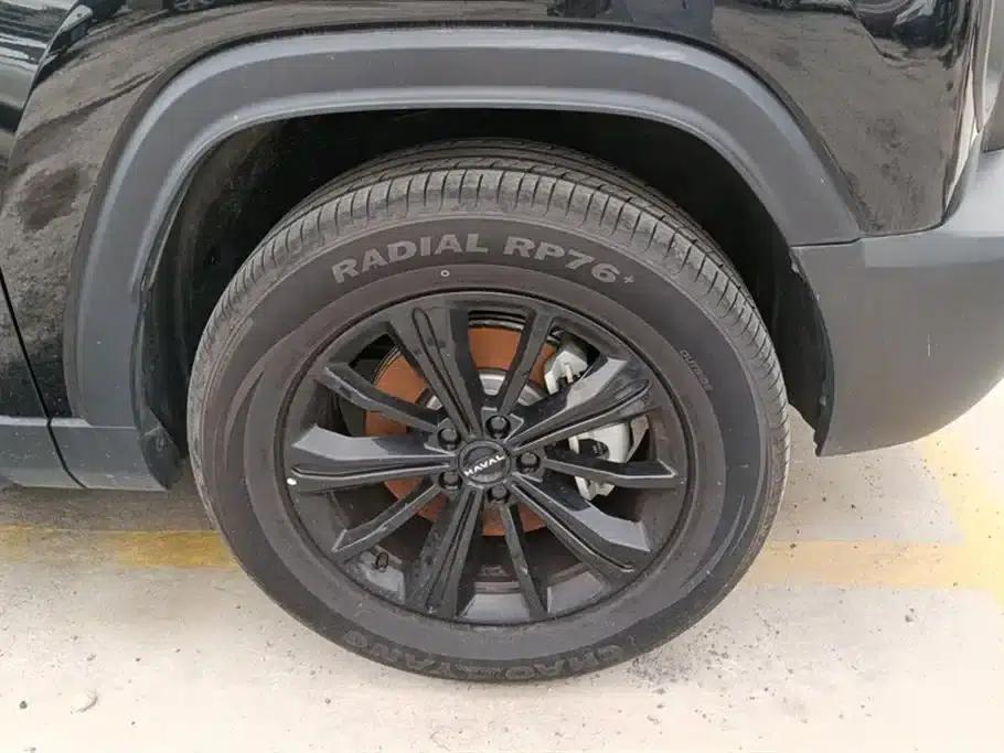 Haval Raptor New Energy 2024 Hi4 102 Pro — миниатюра 6