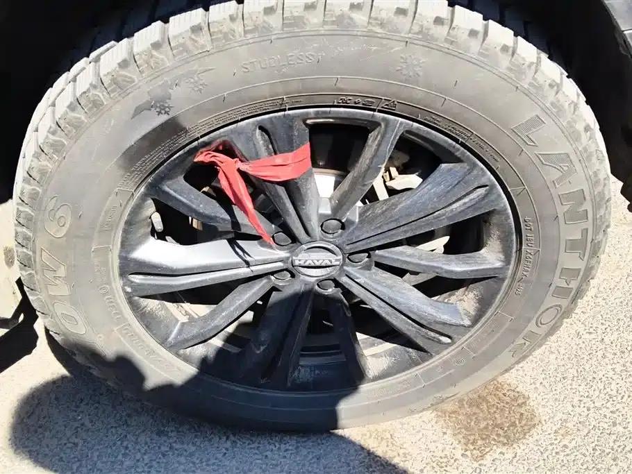 Haval Raptor New Energy 2024 Hi4 145 Pro — миниатюра 6