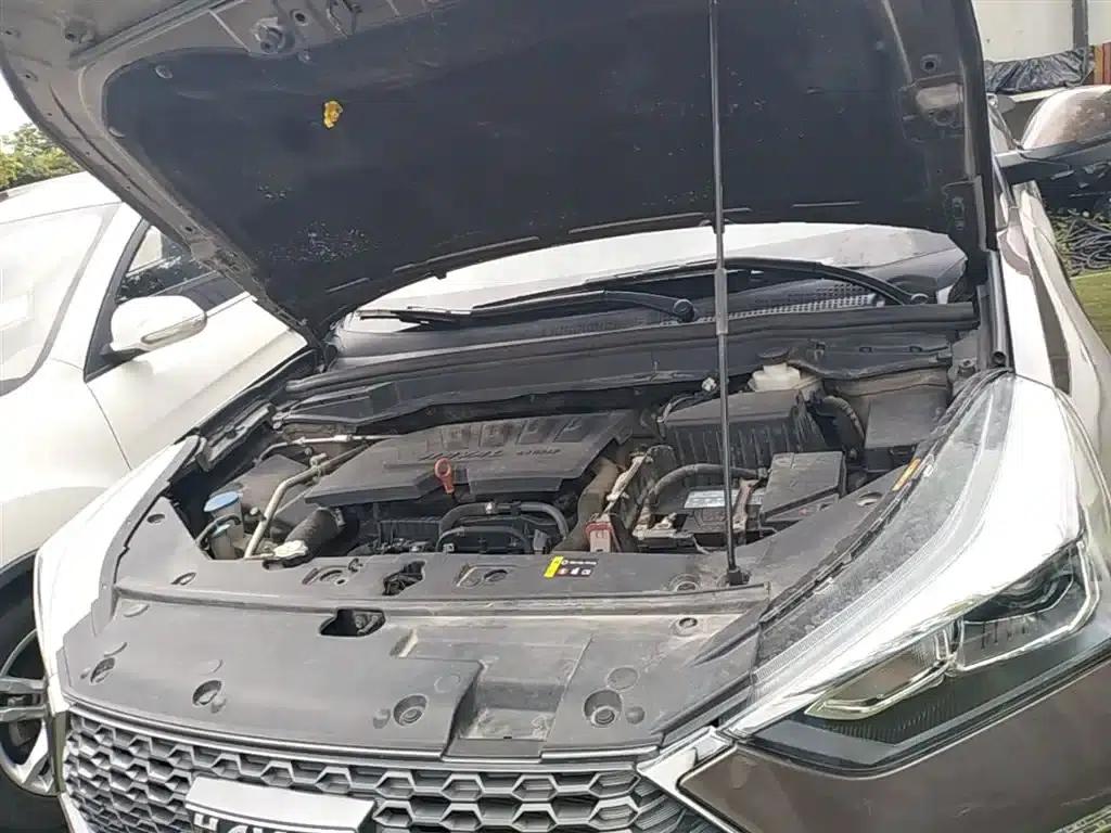 Haval H6 Coupe 2019 1.5T Automatic 2WD Luxury Intelligent Edition (China VI Emission Standard) — миниатюра 20