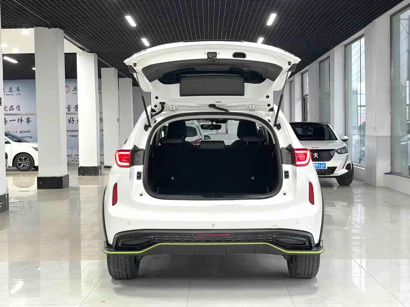 Haval Chitu 2022 Enjoy Edition 1.5T Bronze Rabbit — миниатюра 16