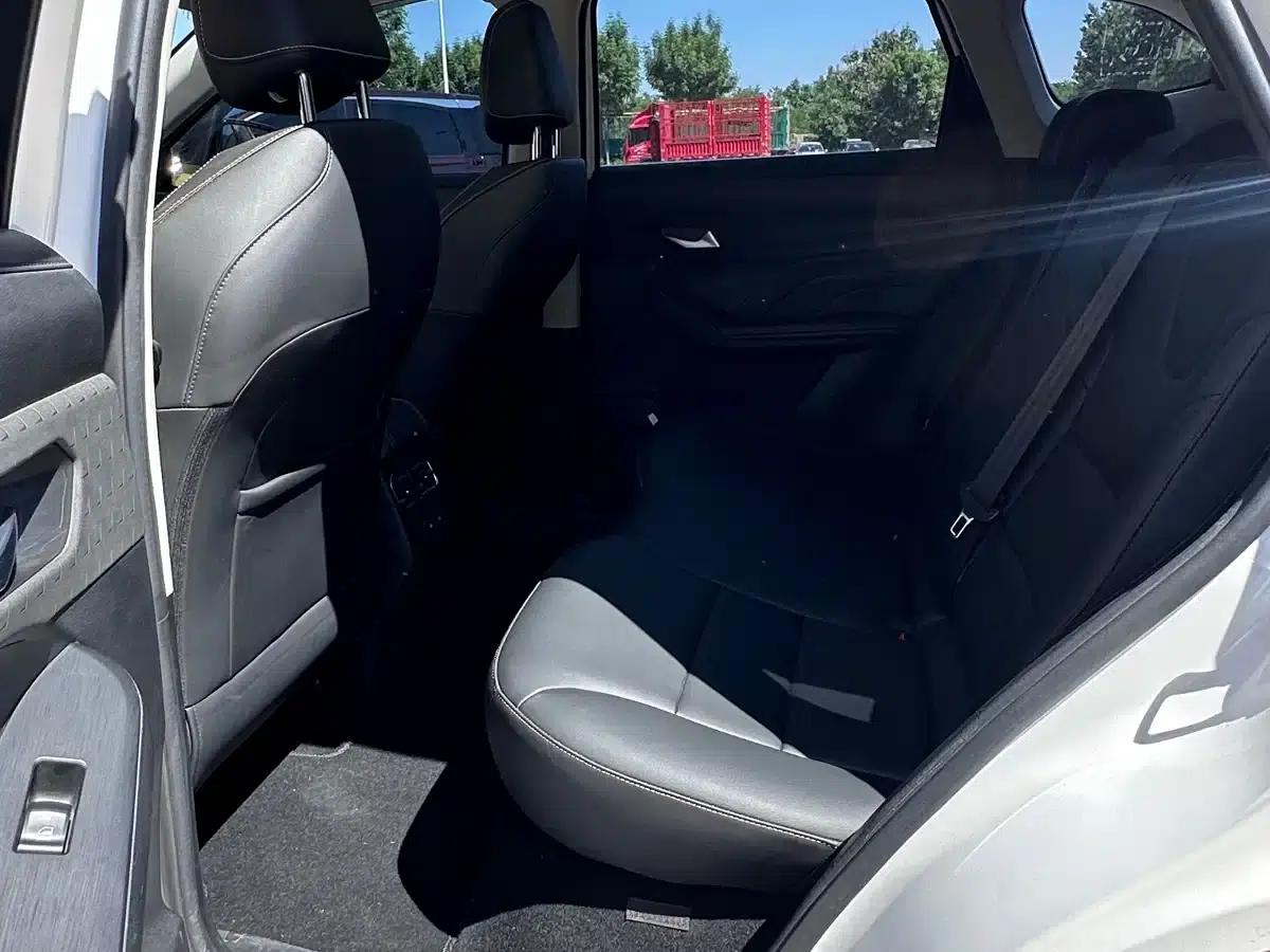 Haval Chitu 2022 Enjoy Edition 1.5T Bronze Rabbit — миниатюра 9