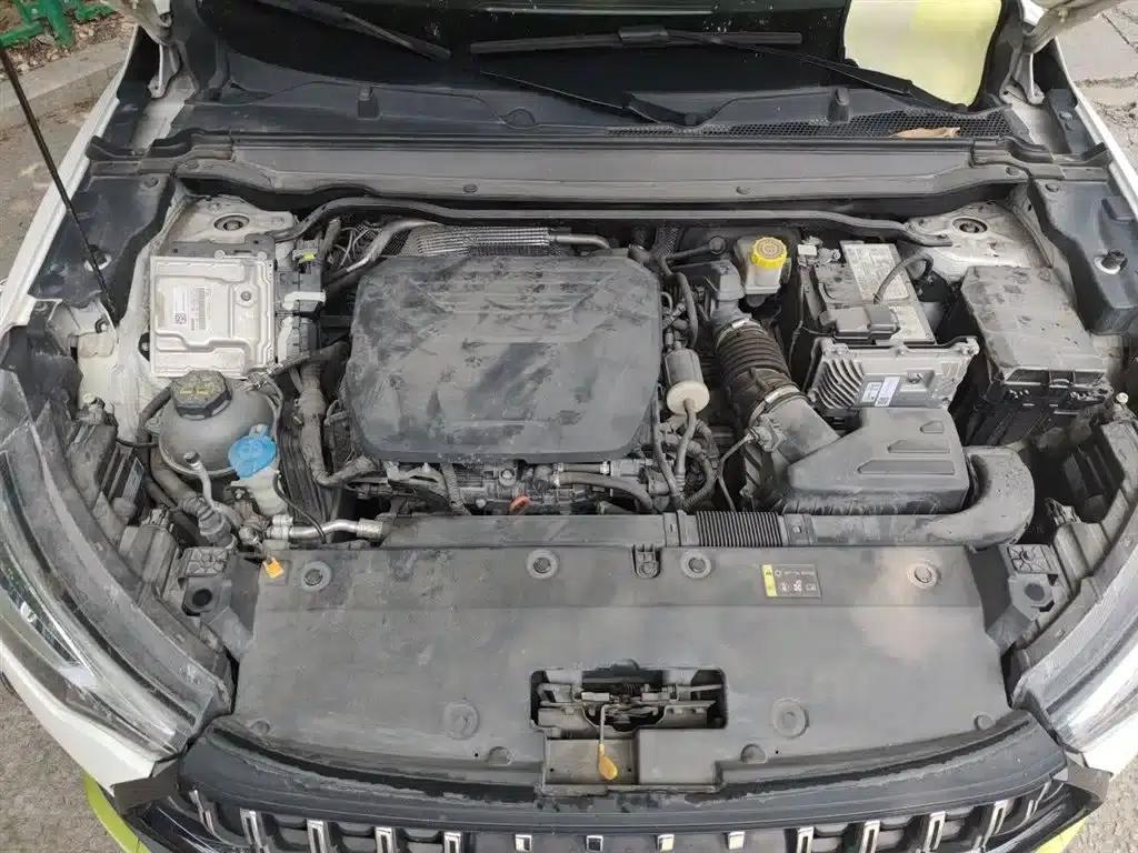 Haval Chitu 2021 Sport Edition 1.5T Golden Rabbit — миниатюра 11