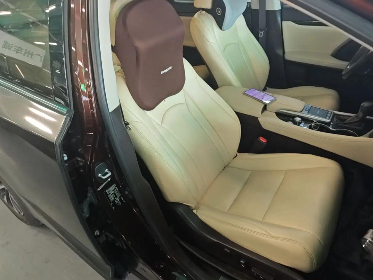 Lexus RX 2020 300 Two-Wheel Drive Elite Edition China VI Standard — миниатюра 23