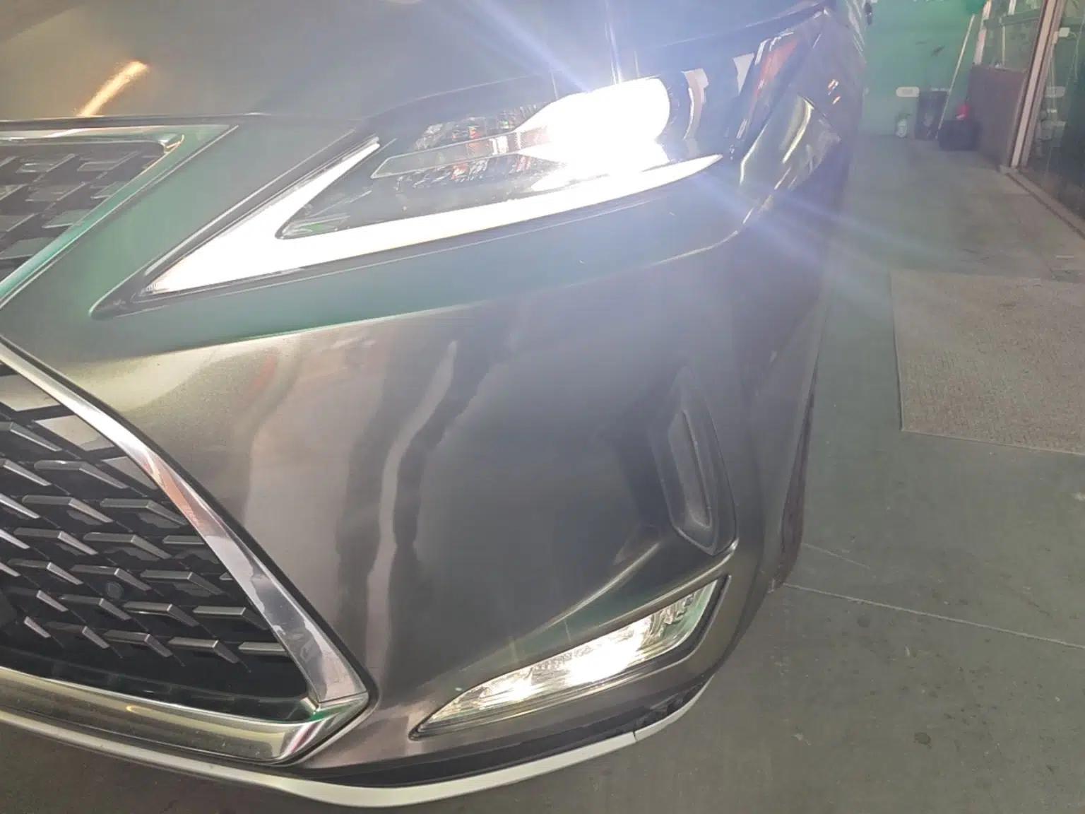 Lexus RX 2020 300 Two-Wheel Drive Elite Edition China VI Standard — миниатюра 9