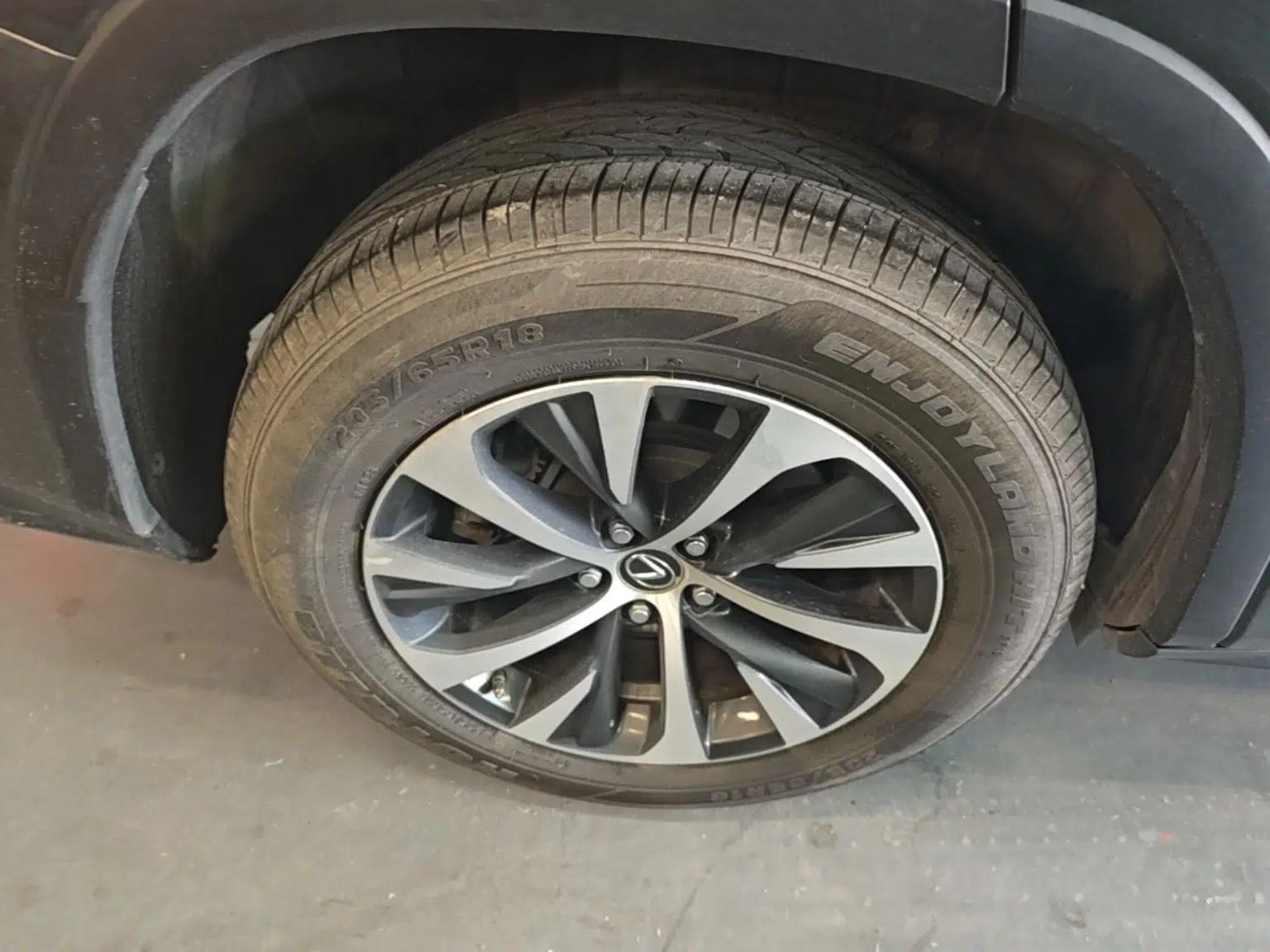 Lexus RX 2020 300 Two-Wheel Drive Elite Edition China VI Standard — миниатюра 10