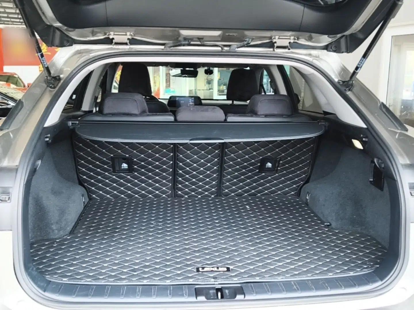 Lexus RX 2020 300 Two-Wheel Drive Elite Edition China VI Standard — миниатюра 22