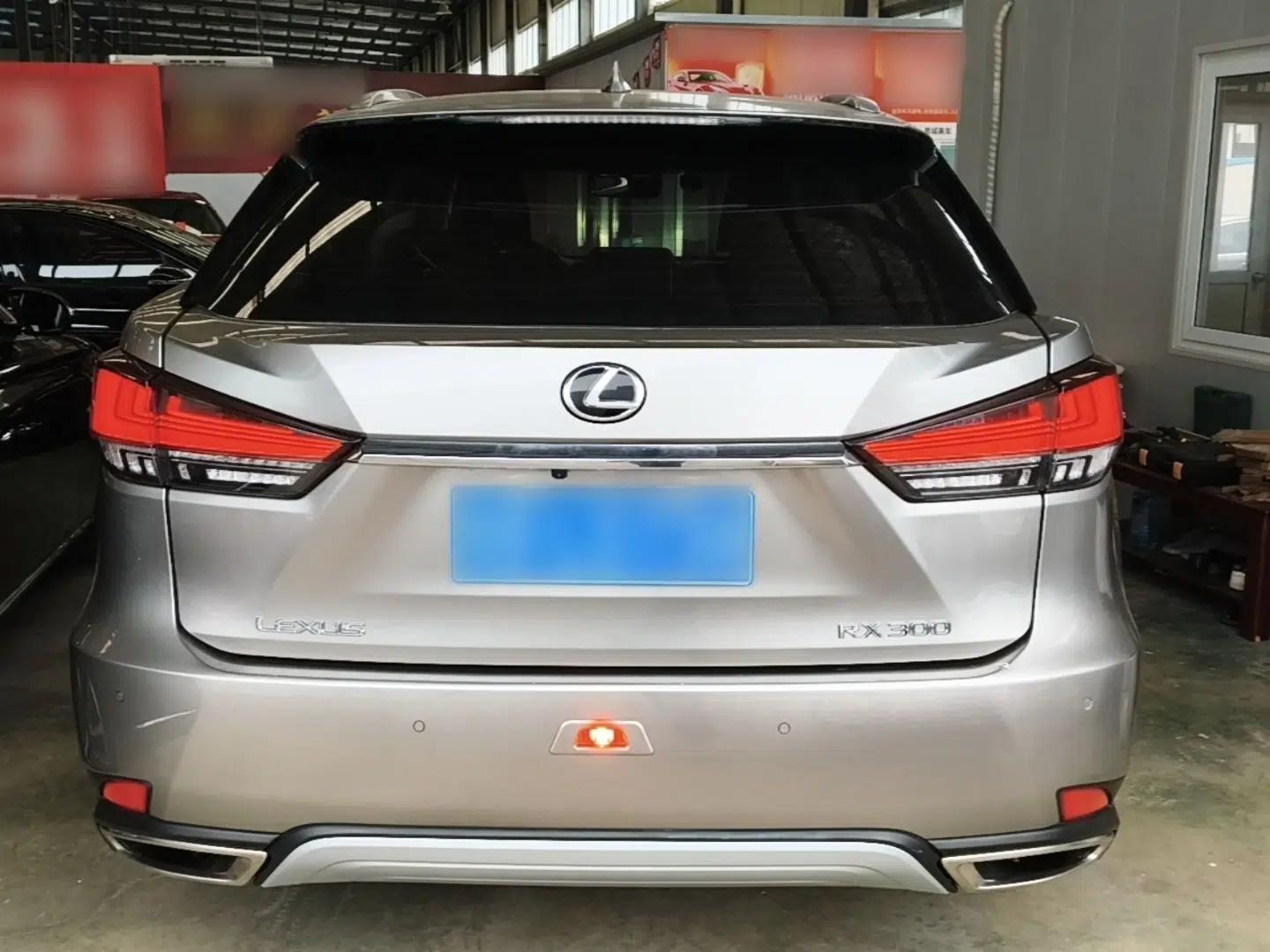 Lexus RX 2020 300 Two-Wheel Drive Elite Edition China VI Standard — миниатюра 5