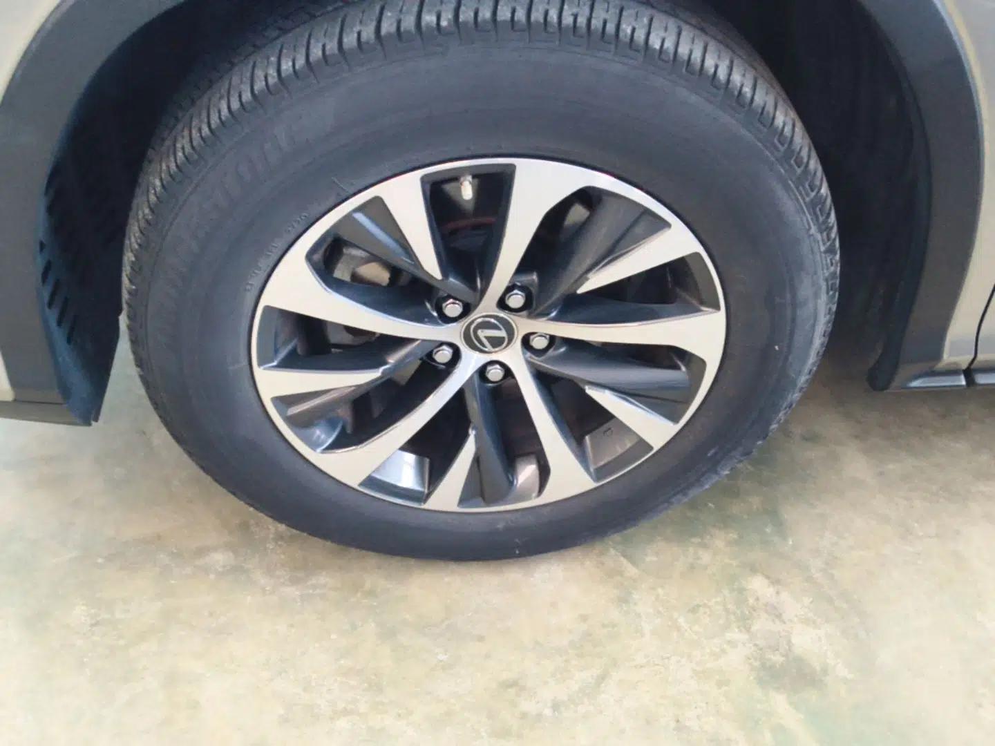 Lexus RX 2020 300 Two-Wheel Drive Elite Edition China VI Standard — миниатюра 8