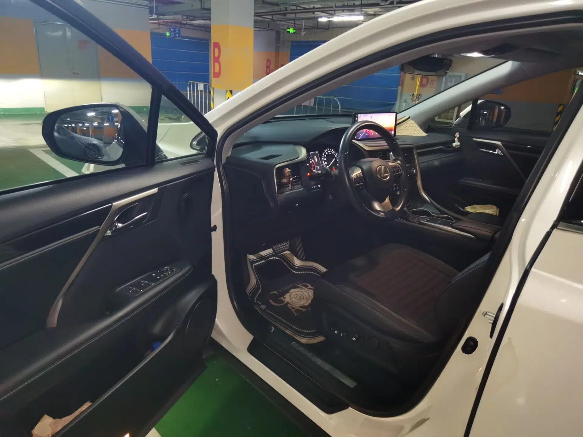 Lexus RX 2020 300 Two-Wheel Drive Elite Edition China VI Standard — миниатюра 17